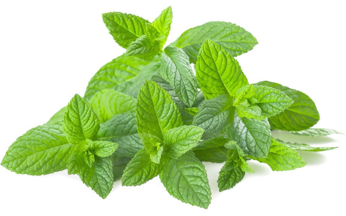 Mint Oil on Hondrolife